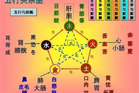 土跟木|木与其它五行的关系